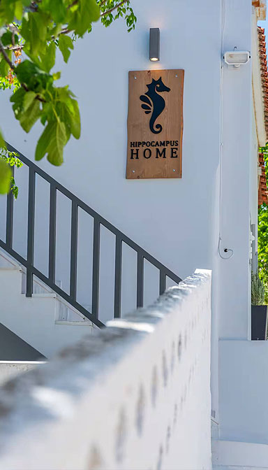 The best airbnb in Samos - exterior 3